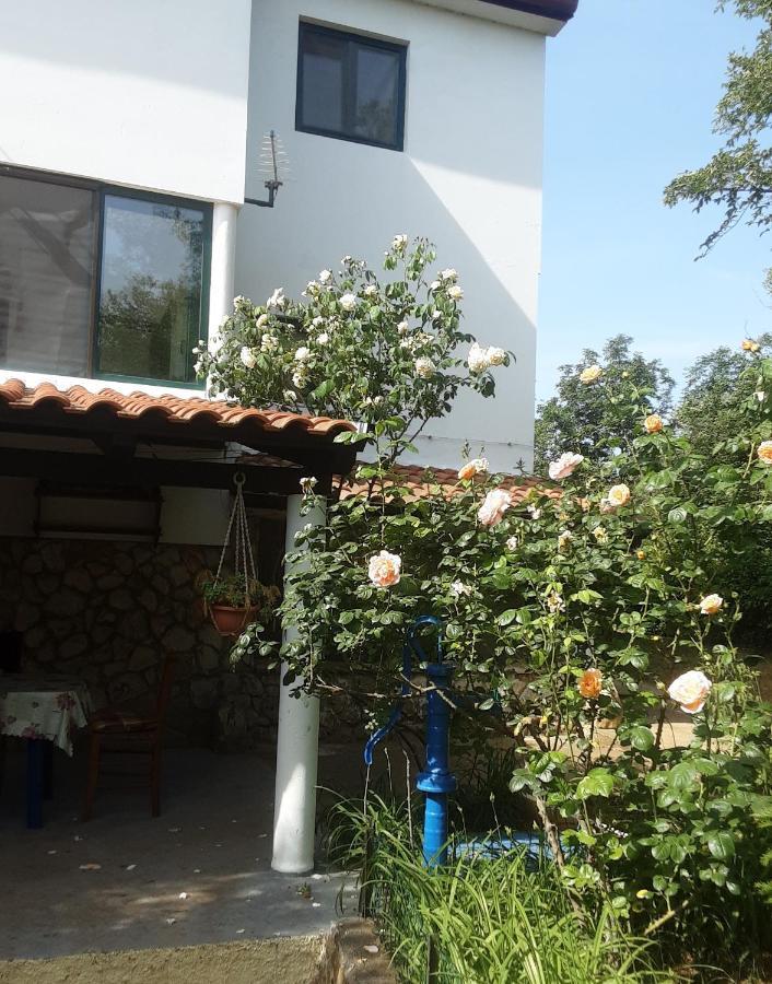 Apartments Nena 3* Ližnjan Kültér fotó